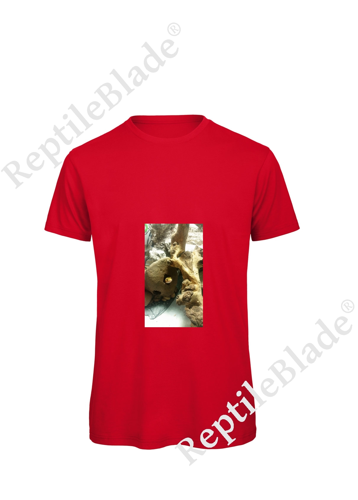 Miniature T-shirt homme "Lilo tortues"