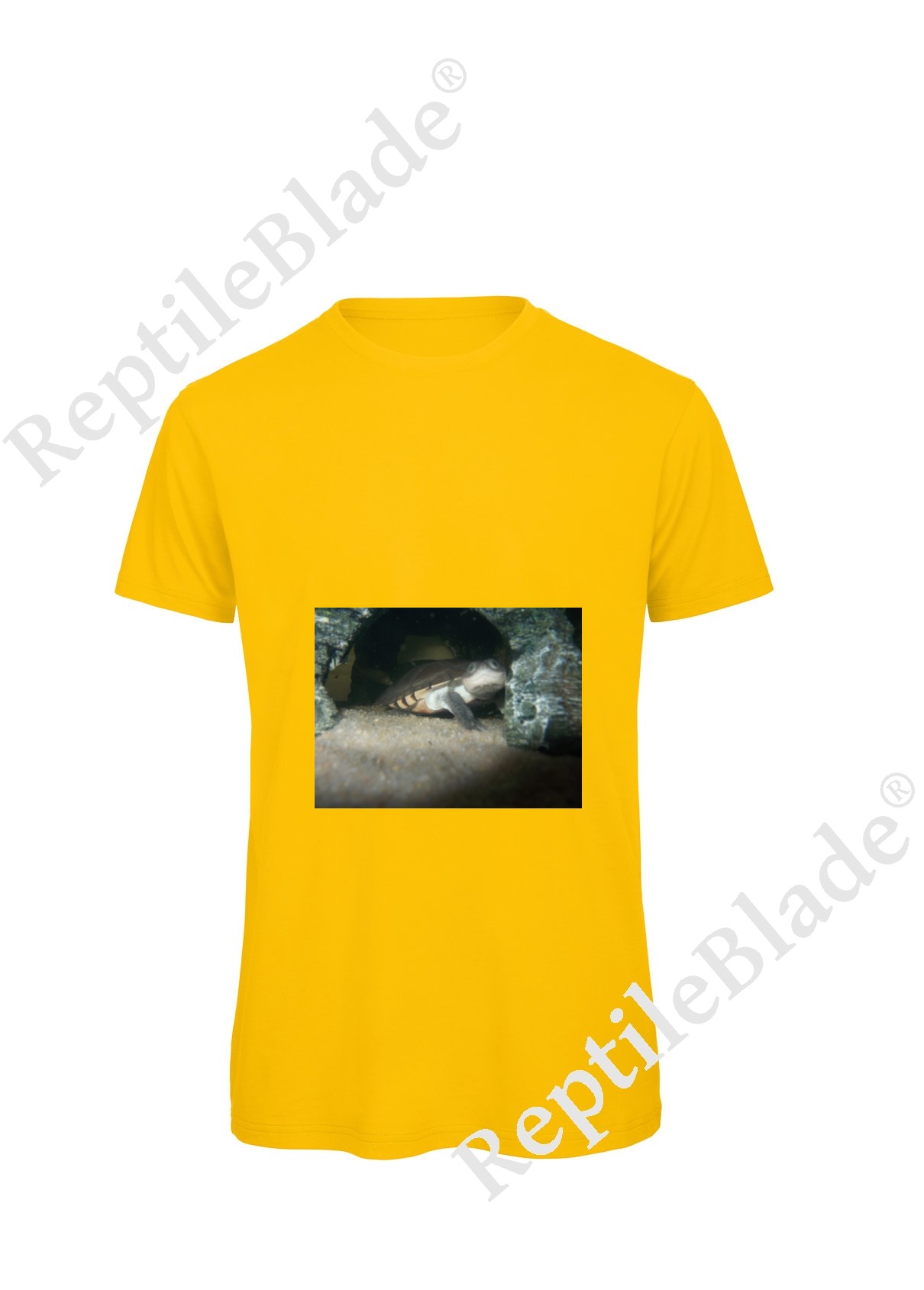 Miniature T-shirt homme "Lilo tortues"