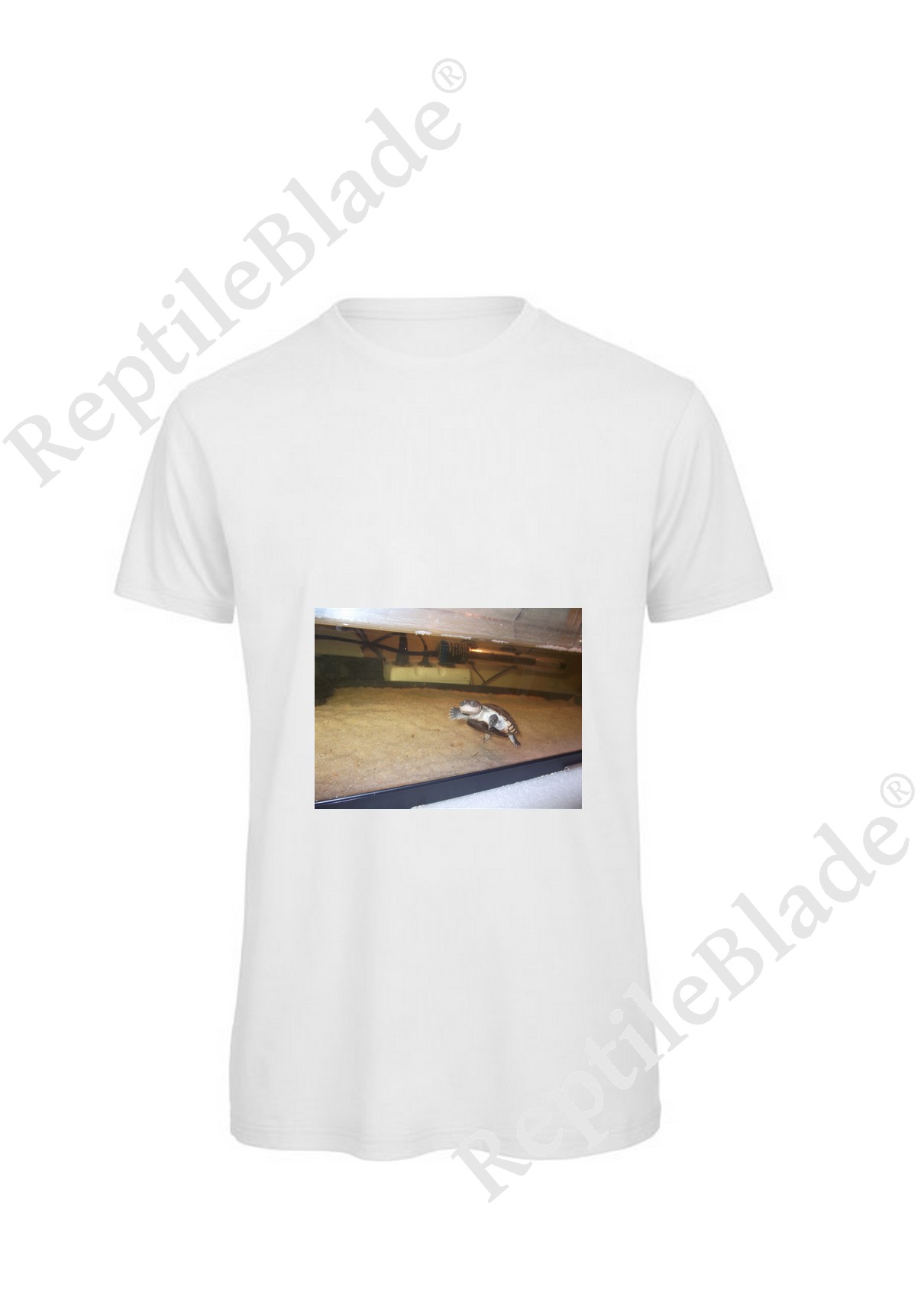 Miniature T-shirt homme "Lilo tortues"