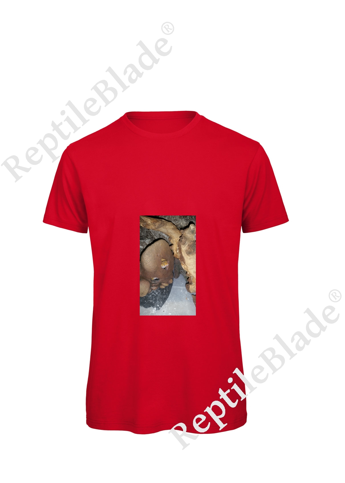 Miniature T-shirt homme "Lilo tortues"