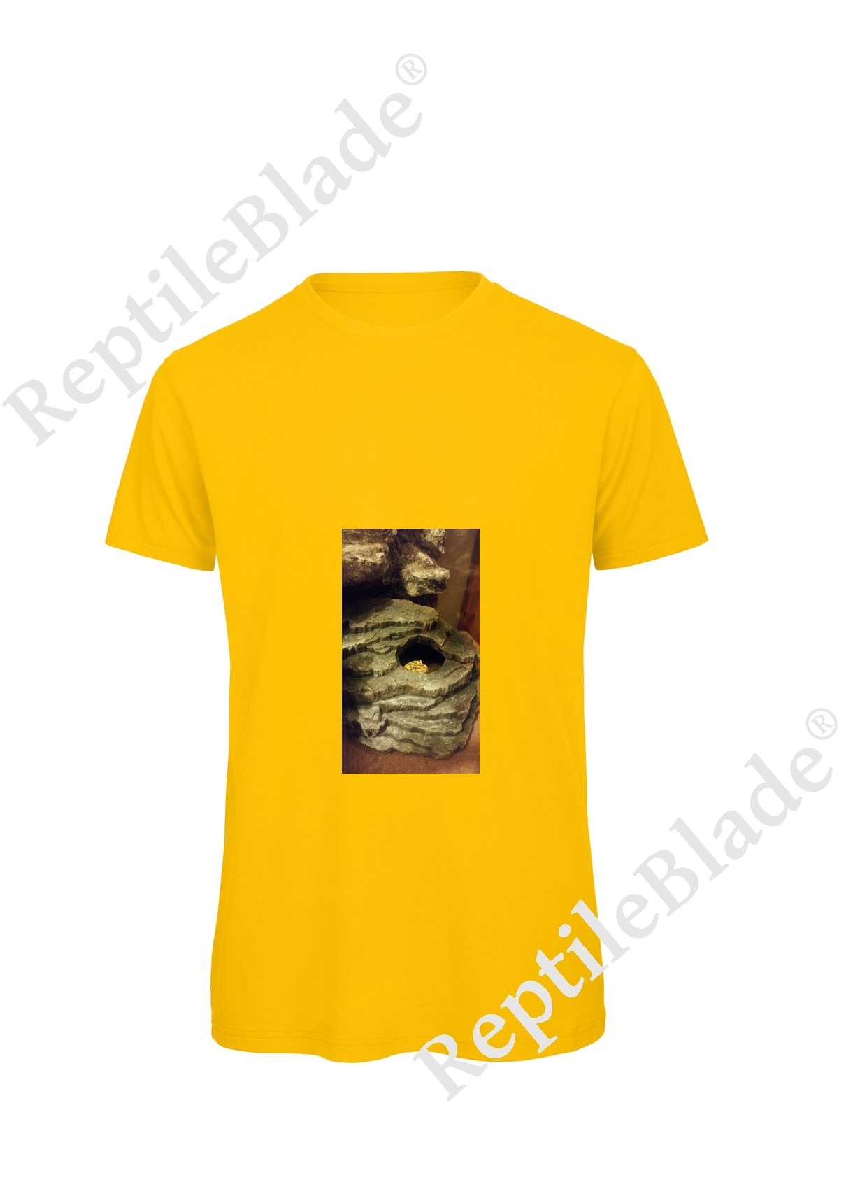 Miniature T-shirt homme "Lilo tortues"