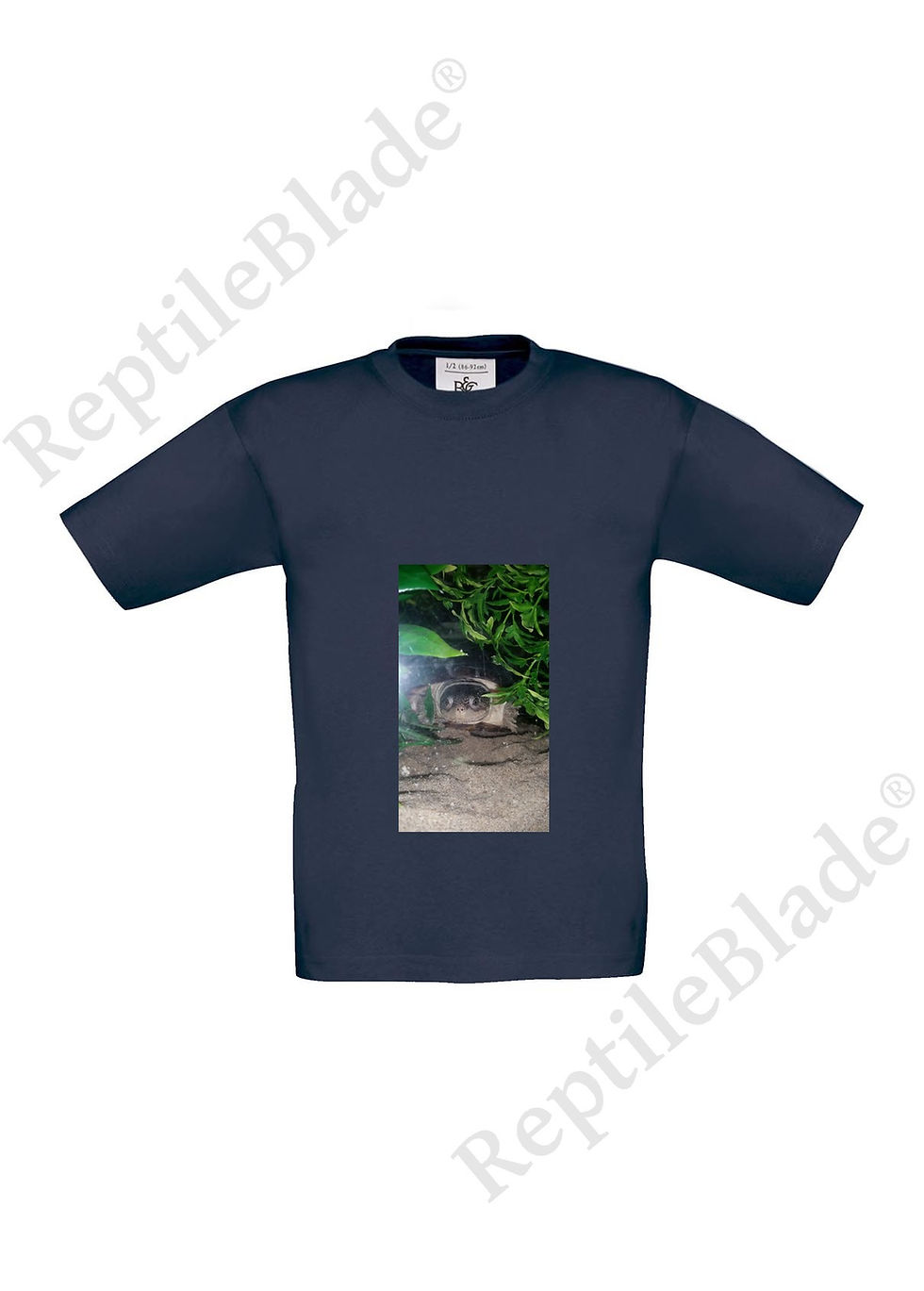 תמונה ממוזערת: T-shirt enfant "Lilo tortues"