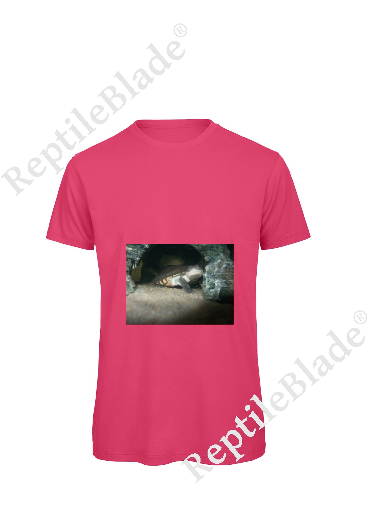 Miniature T-shirt homme "Lilo tortues"