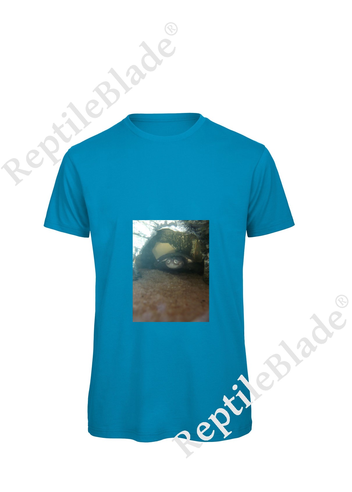 Miniature T-shirt homme "Lilo tortues"
