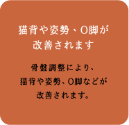 「猫背や姿勢、0脚が改善されます」骨盤調整により、猫背や姿勢、0脚などが改善されます。