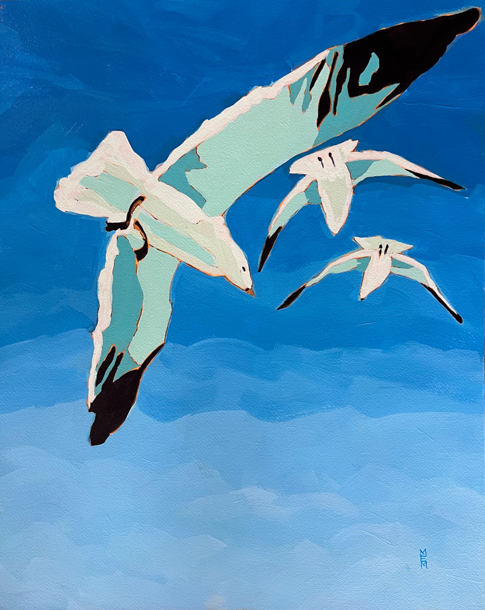 Soaring