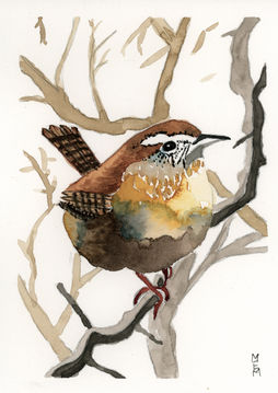 Watercolor Wildlife