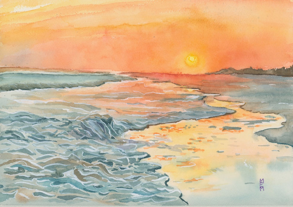 Wild Dunes