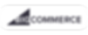 Bigcommerce logo