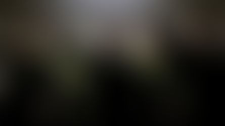 Cinq soldats canadiens suspendus pour salut nazi