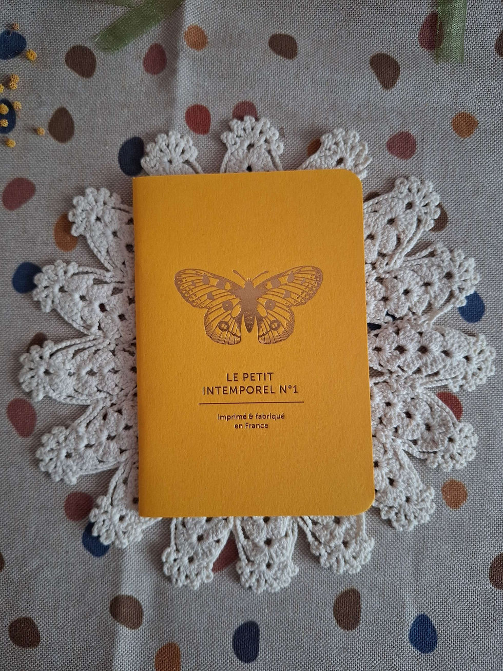 Miniature : Carnet "Papillon"