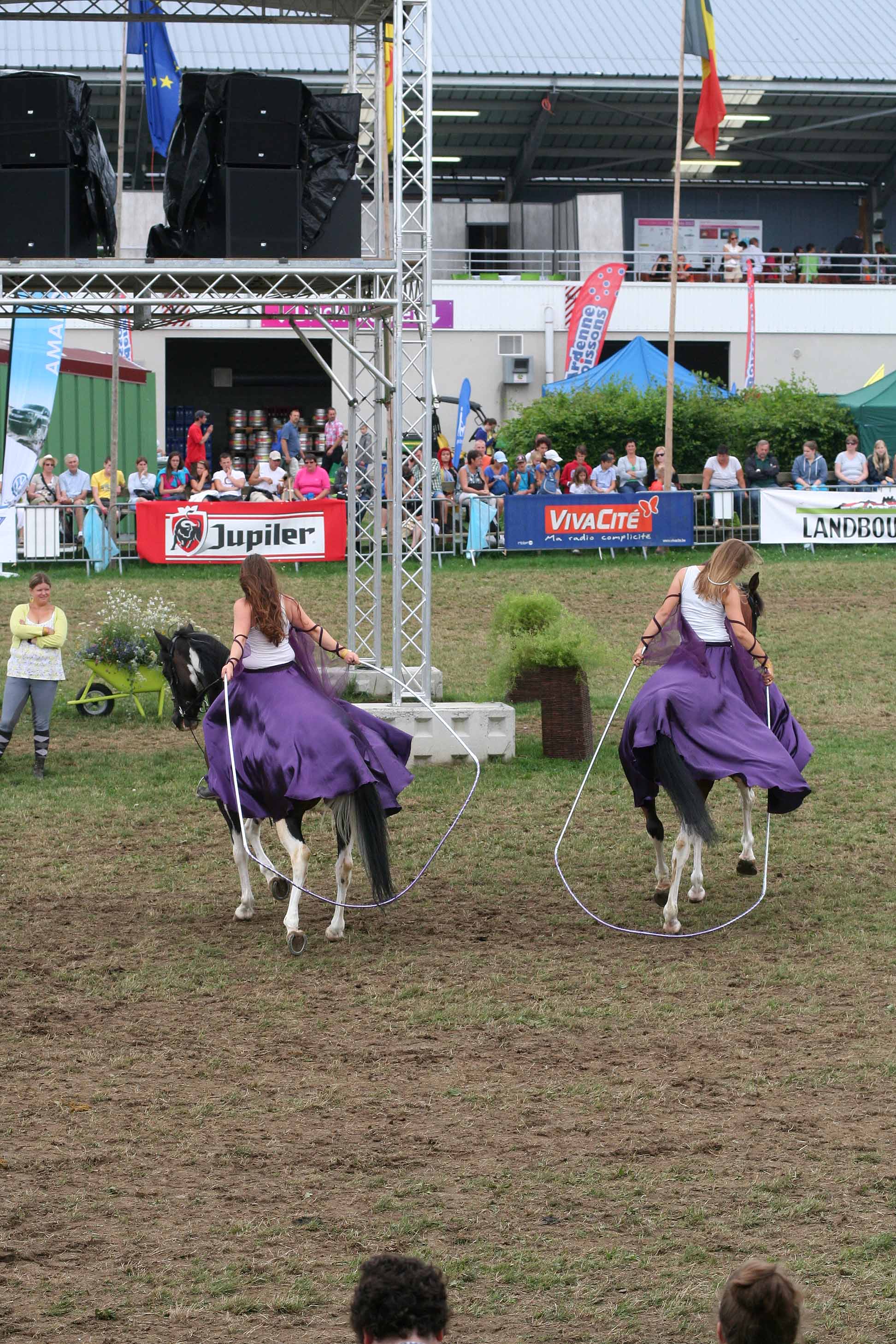 Le RelaiS Centre Equestre Stage équitation école équitation