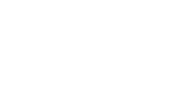 name only_white_transparent background.png