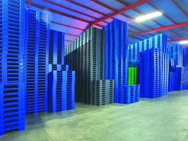 Supplier Pallet Plastik