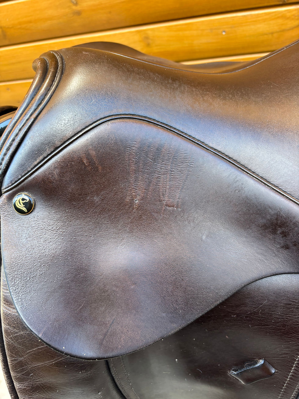 Thumbnail: Pony, Cob & Horse WH/VSD 16.5" XW