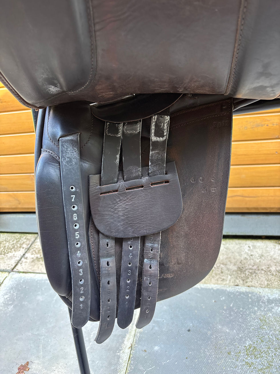 Thumbnail: Ideal Ramsey H&C Wide Seat 17.5" XW