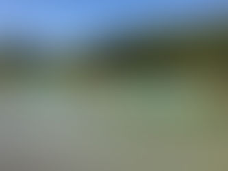 Time for Family & Causes