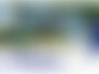 Let Coldwell Banker Brokers of the Valley Pay for Your Home Improvements