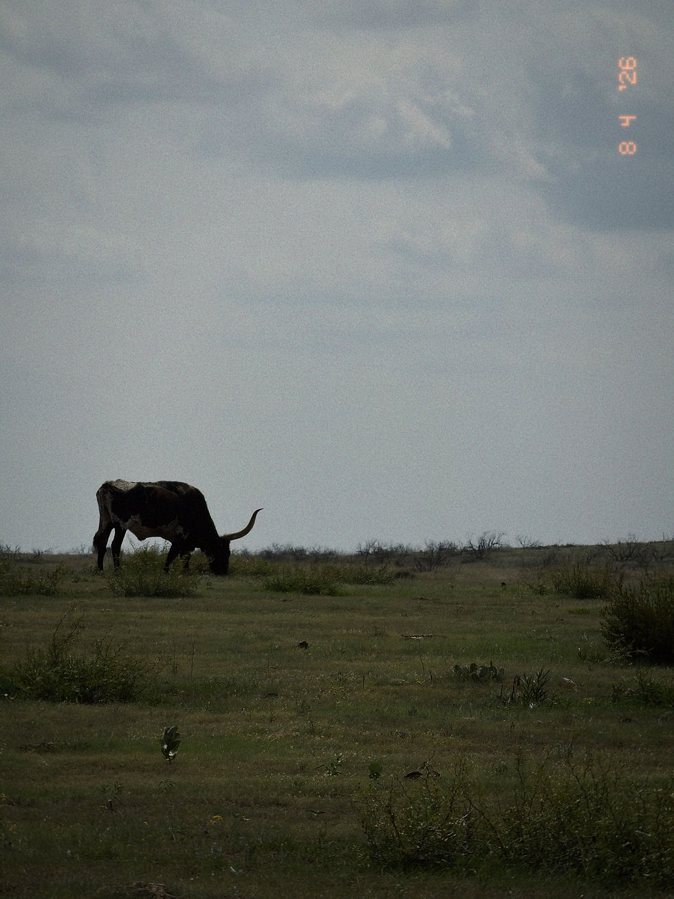 Slowing It Down in West Texas