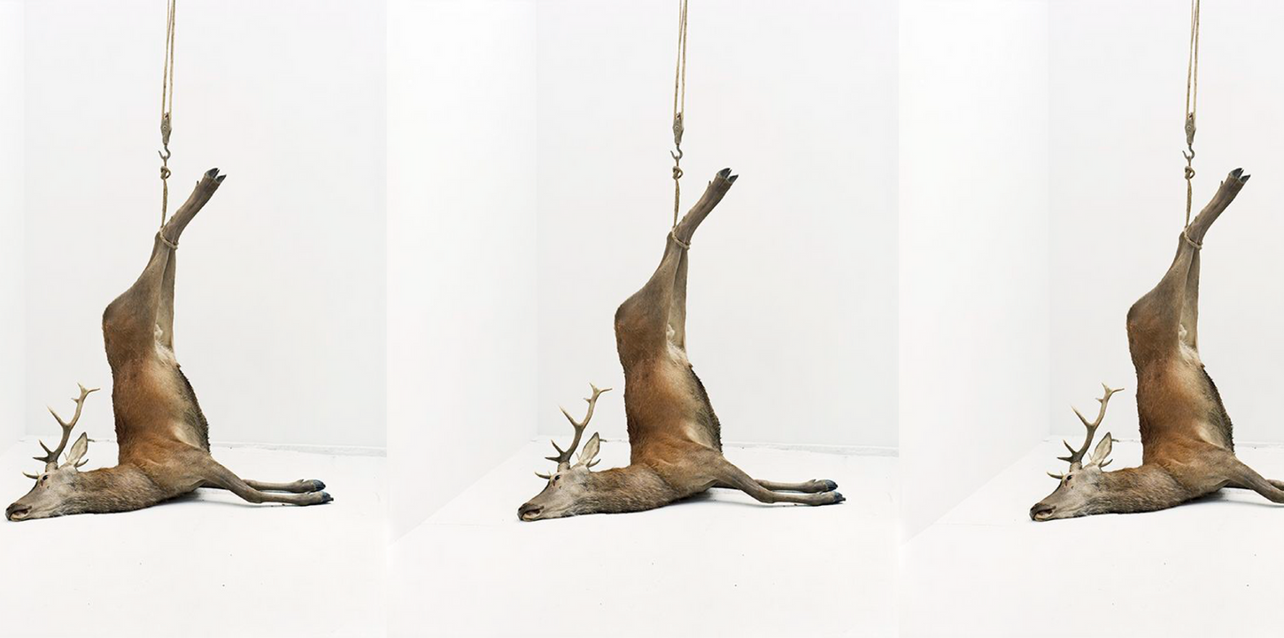 Macbeth - Héloïse Ravet