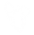 DPEP_Logo_White 2.png