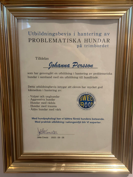Certifikat för problematiska hundar