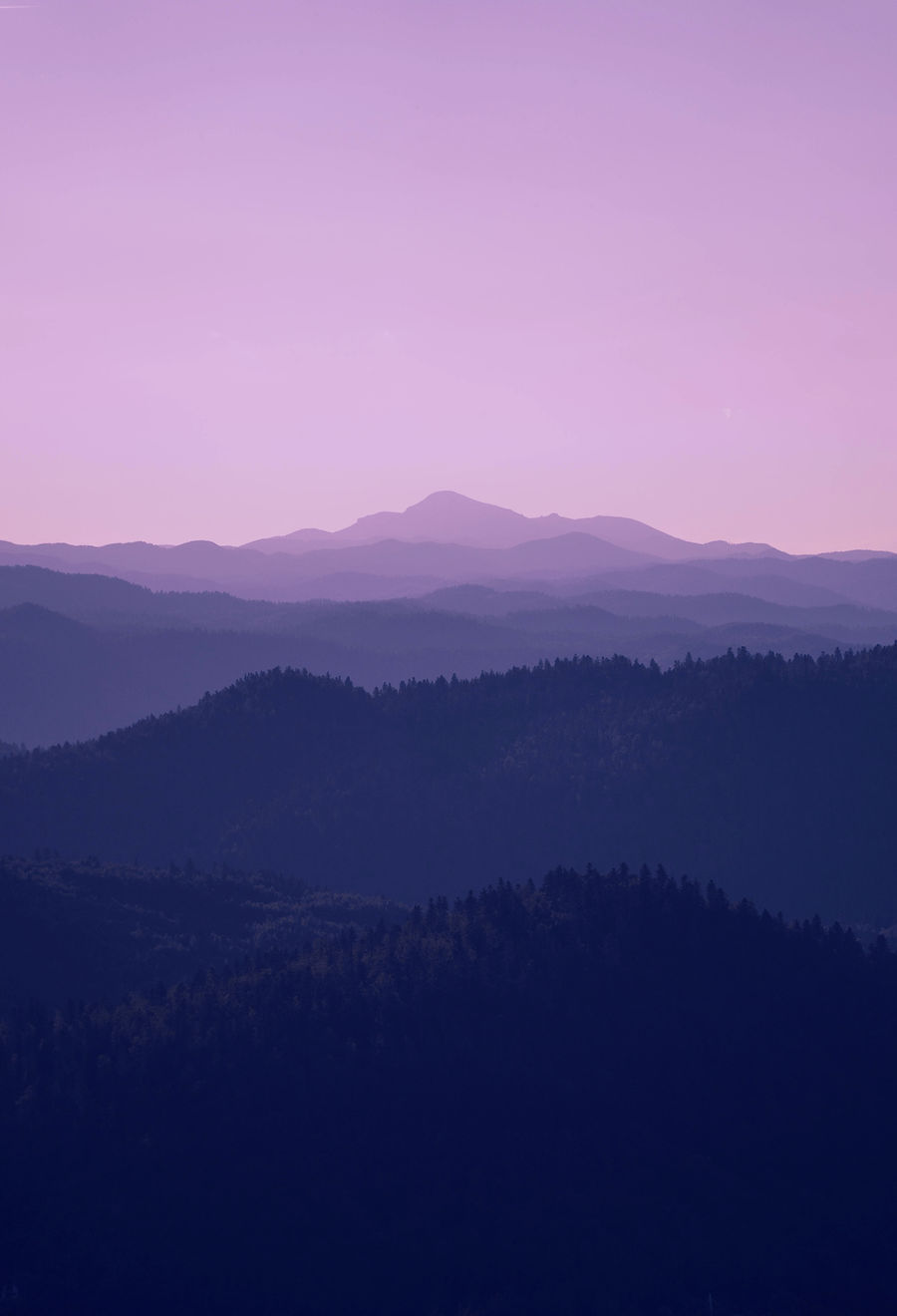 green trees on mountain during daytime_edited.jpg
