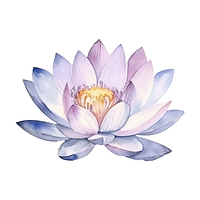 Lotus.png
