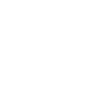 1Flourish Capital logo