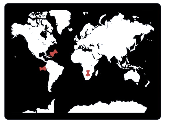 image-removebg-preview (2).png