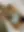 website3.WEBP