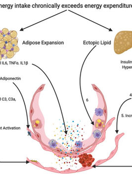 CUANDO SE ENCUENTRAN 2 PANDEMIAS:¿POR QUÉ LA OBESIDAD ESTÁ ASOCIADA CON MAYOR MORTALIDAD EN COVID19?