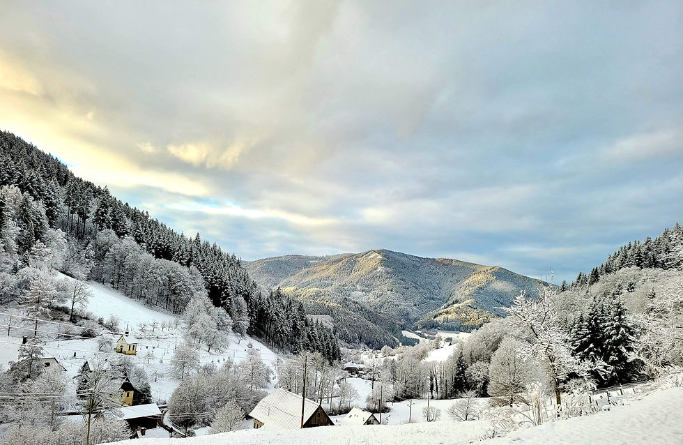 Schwarzwald - Weißwald -Haslach Simonswald - ein Traum in weiß