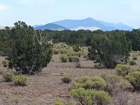 Buying rural property: Rural land in Northern Arizona with a view of the San Francisco Peaks