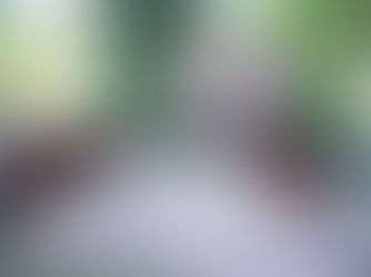 Direct Co-Investments: Partnering with Experts for Maximum Impact