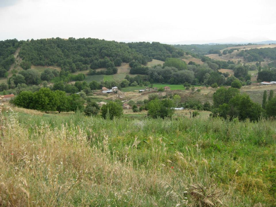 Photo by-Eva Faganomhxanh 1.jpg