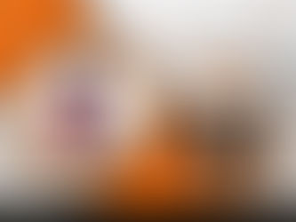 Solving Garage Door Opener Issues Quickly in Davenport, Iowa