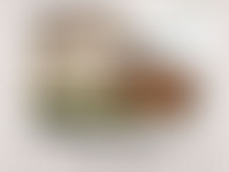 Fort Collins’ Best Custom Garage Door Installation Services