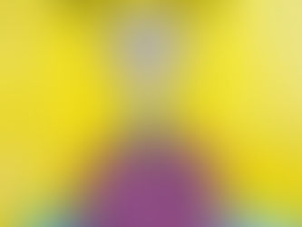  "Psychomagie, un art pour guérir"