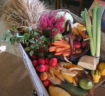 Familie Høstgudstjeneste