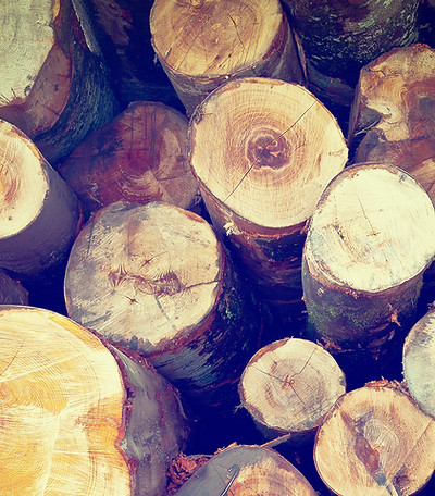 Fire Wood