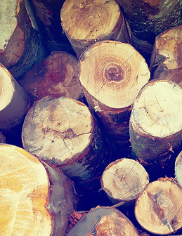 Fire Wood
