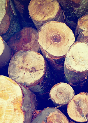 Fire Wood