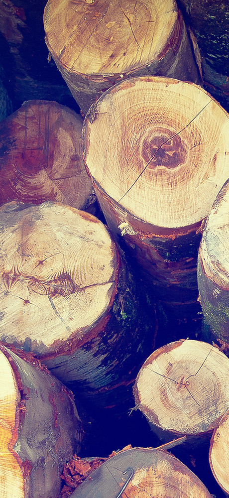 Fire Wood