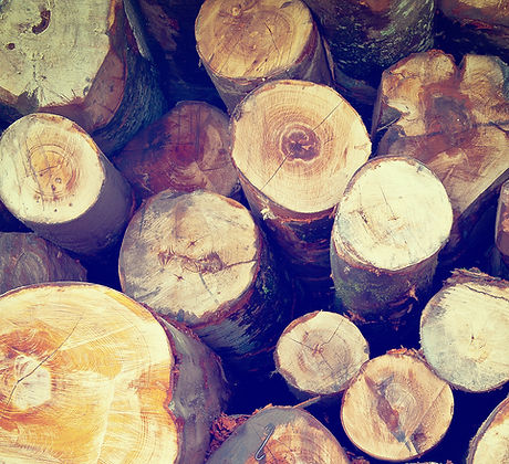 Stacked Fire Wood
