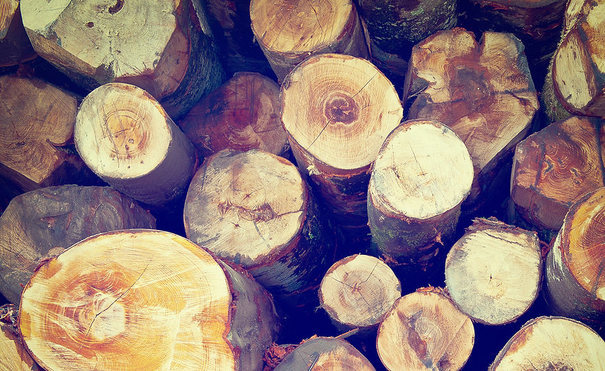 Fire Wood