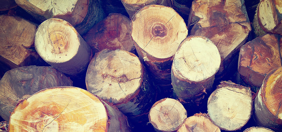 Fire Wood