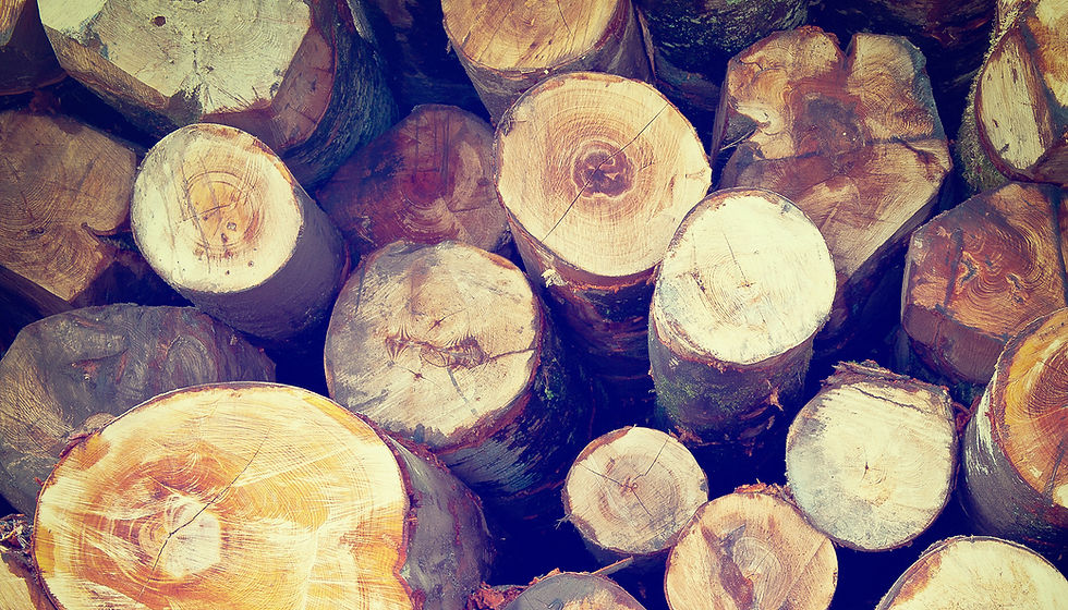 Fire Wood