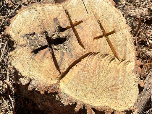 A Disciple Answers "the Call"