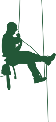 tree man hanging_edited.png